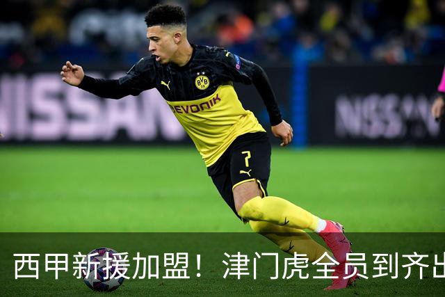 西甲新援加盟！津门虎全员到齐出征重庆，争取至少1分，避免再遇危机